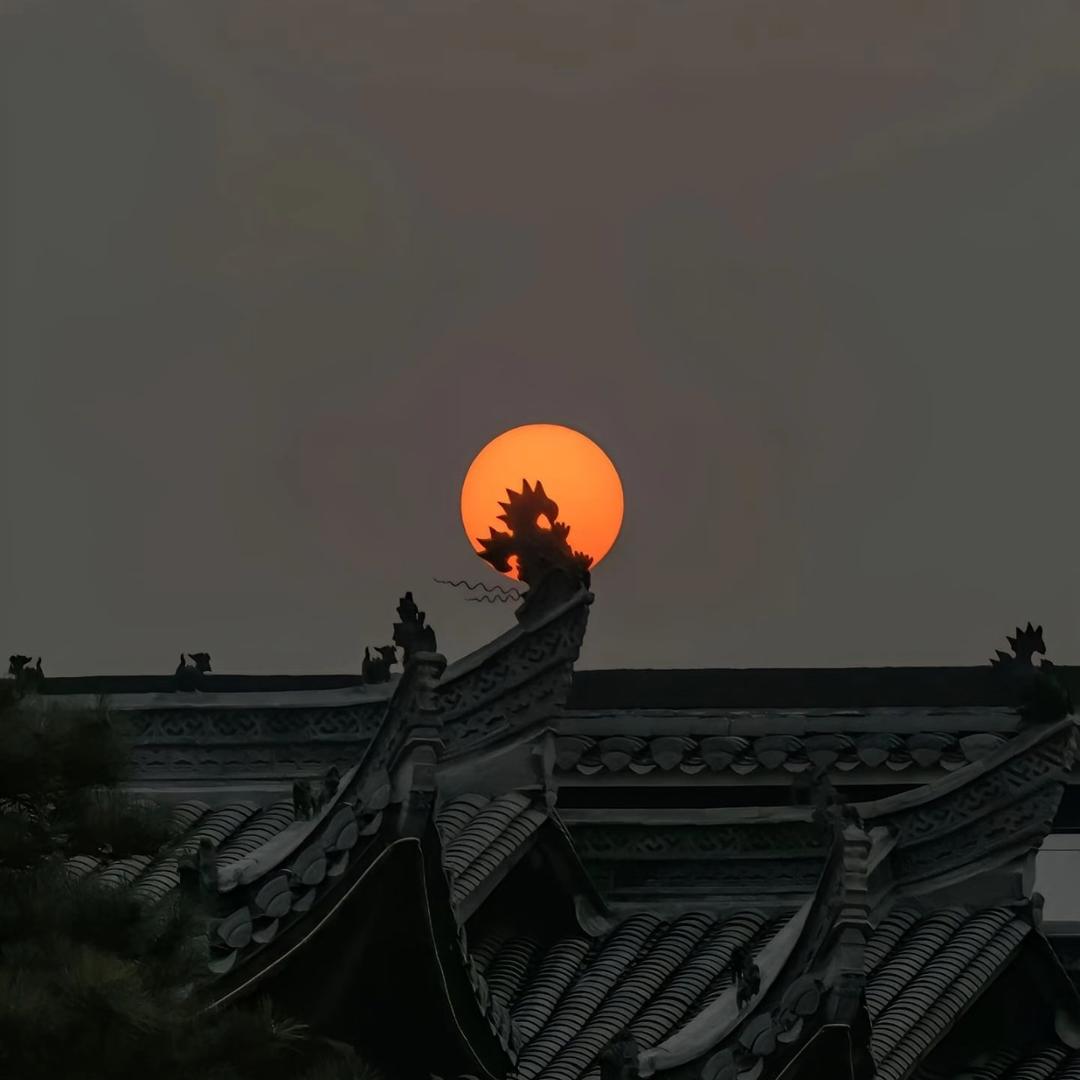 知也-天坤翔