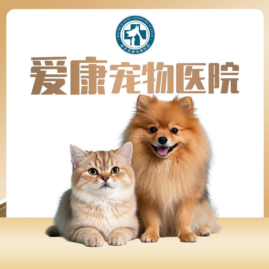 漳州爱康24h宠物医院