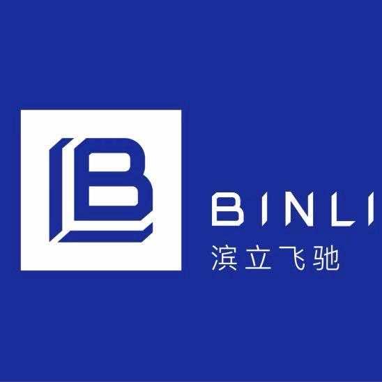滨立飞驰汽车脚垫