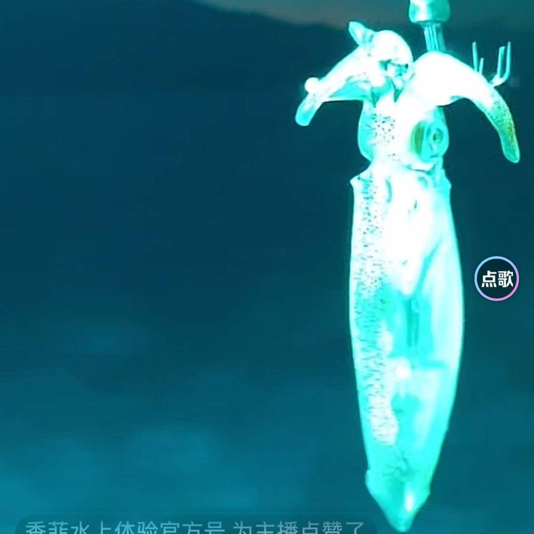 双月湾香菲水上体啊验直播福利号