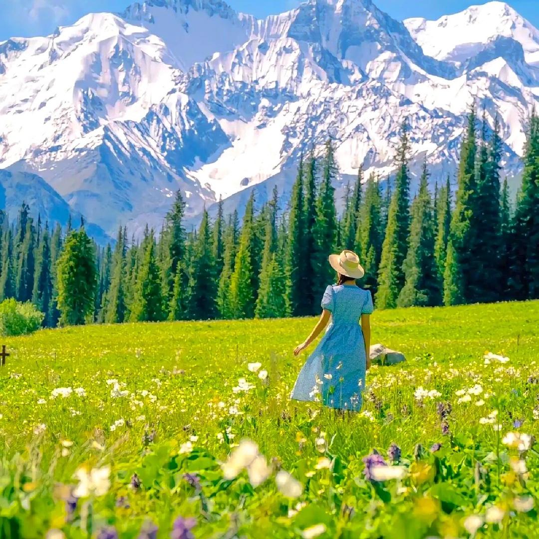 畅游新疆（夏季线路预售中）