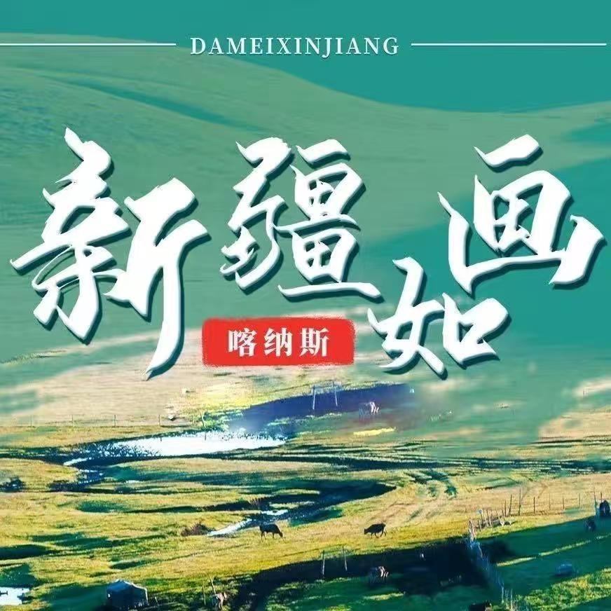 蒂美国际旅行社