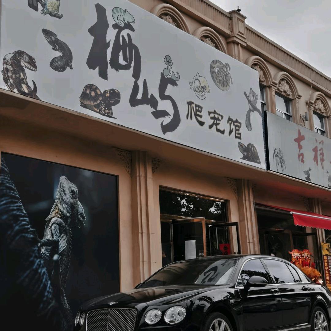 栖屿爬宠馆官方号