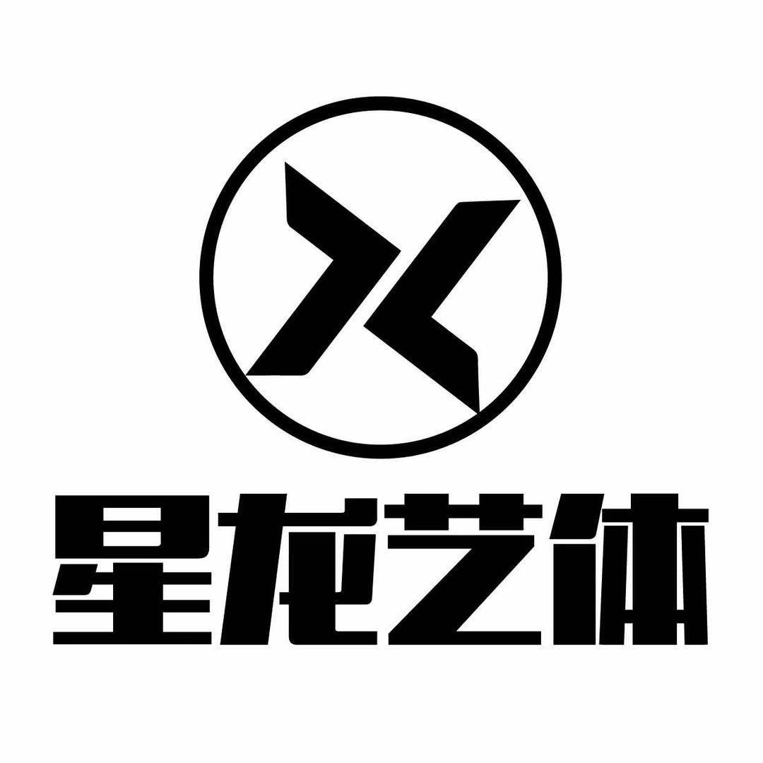 重庆星龙体育培训有限责任公司