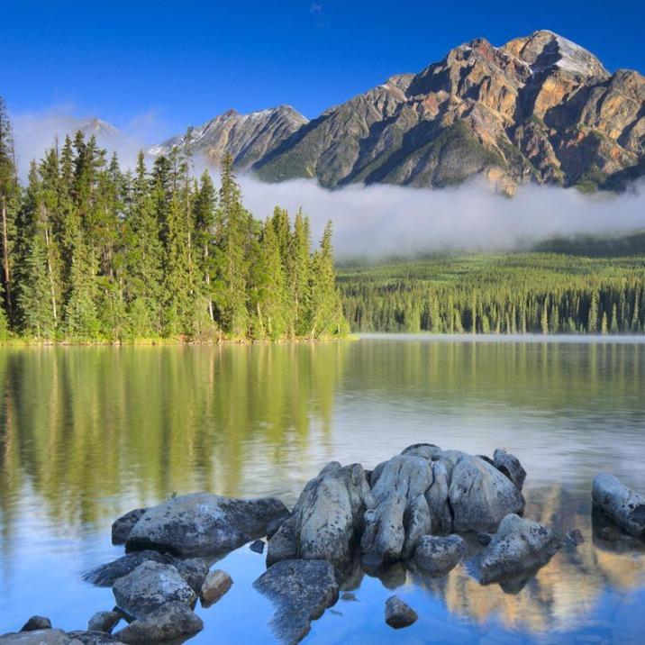 若香织-龙行天韵