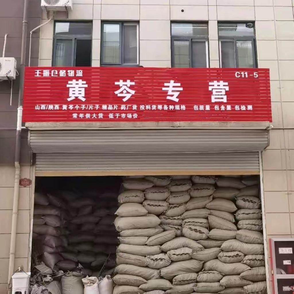 王振黄芩