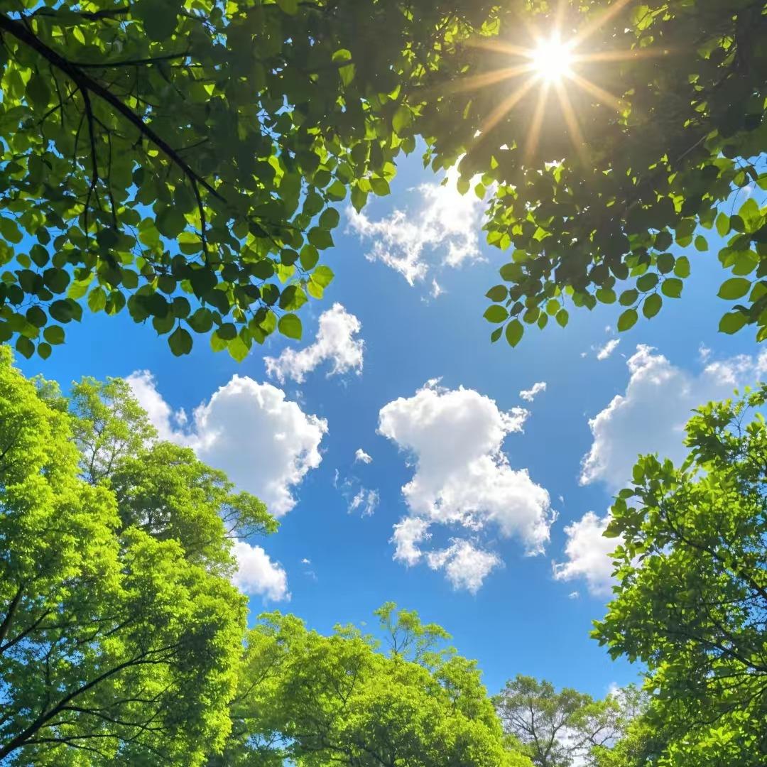 年年1 的直播号