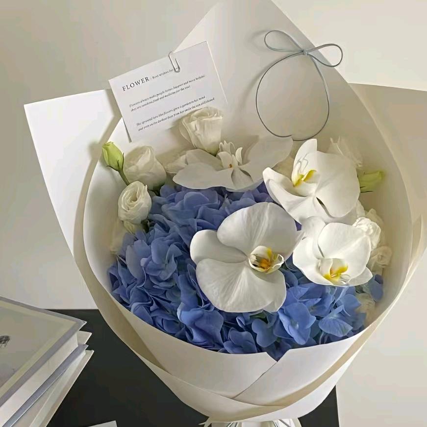 爱生活的小女人