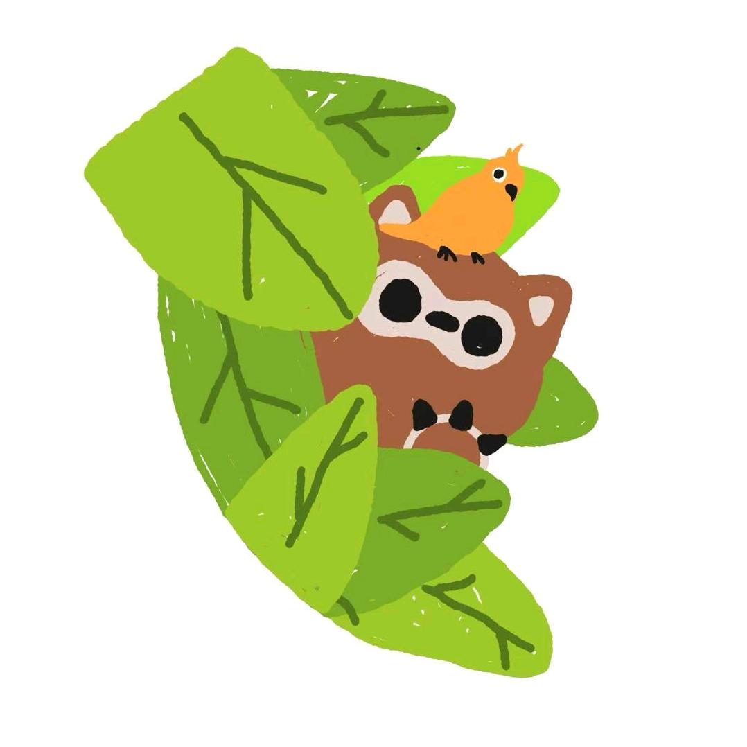 熊熊出没 鸟咖 浣熊咖