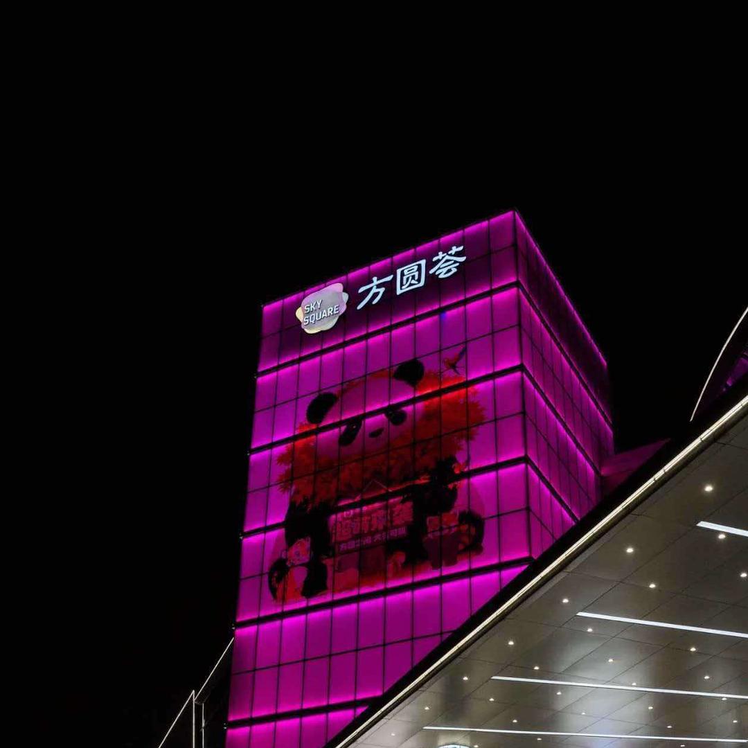 中硕晨晨的直播号