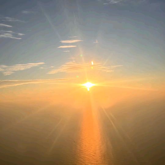 百顺-sps老板娘号