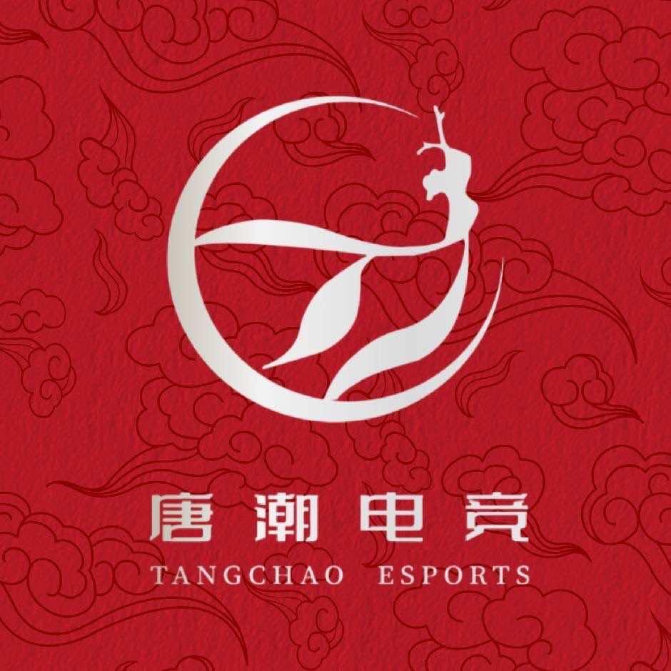 唐潮电竞(新桥梦想城店)专用号