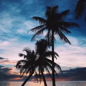 明浩一天.嘉乐德