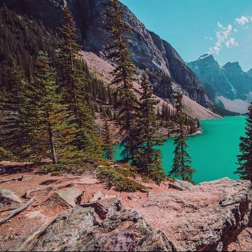 广州宏同冻直播号