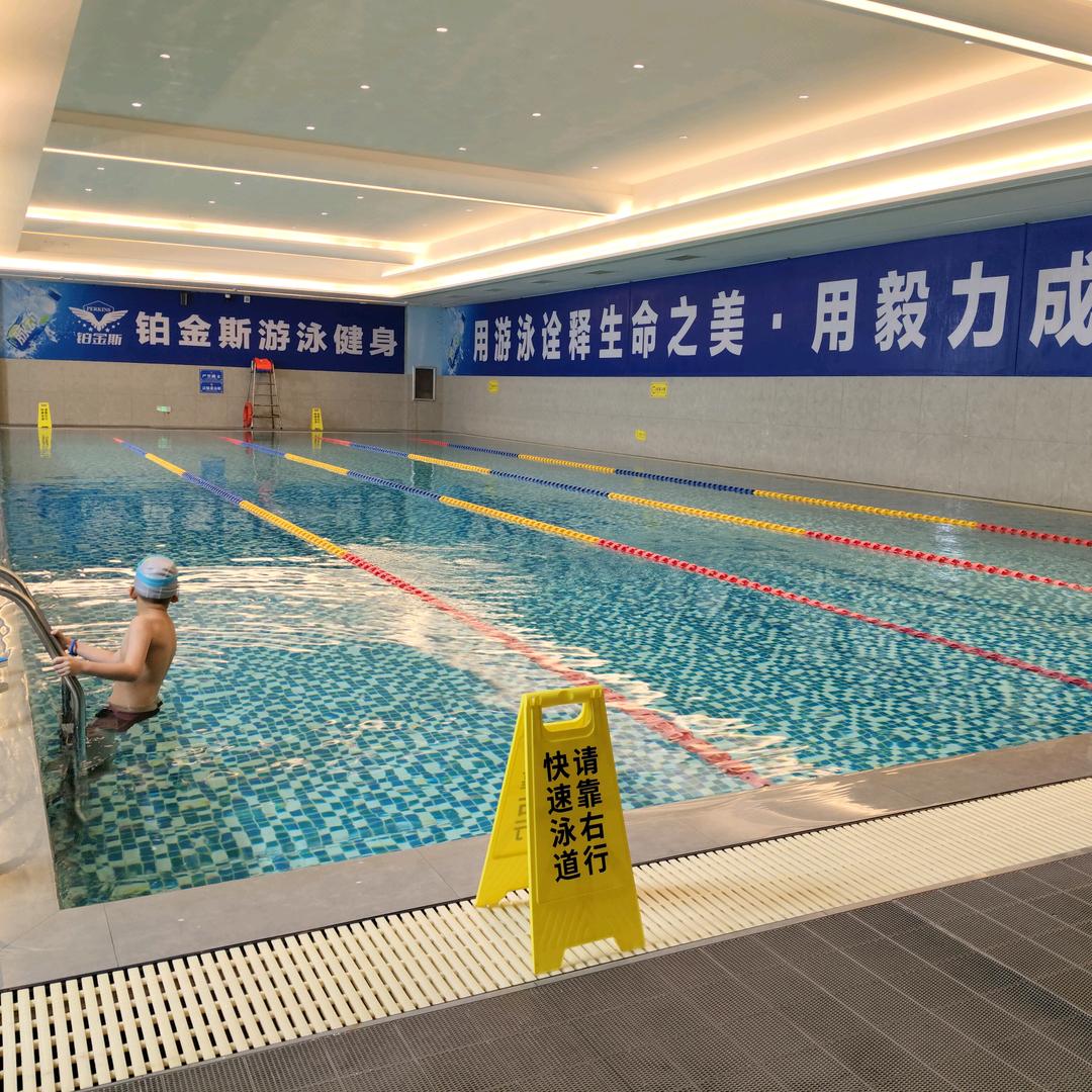 铂金斯孟教练