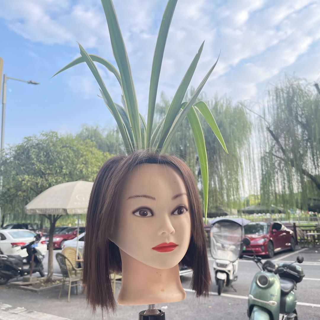 慕涵美发官方号