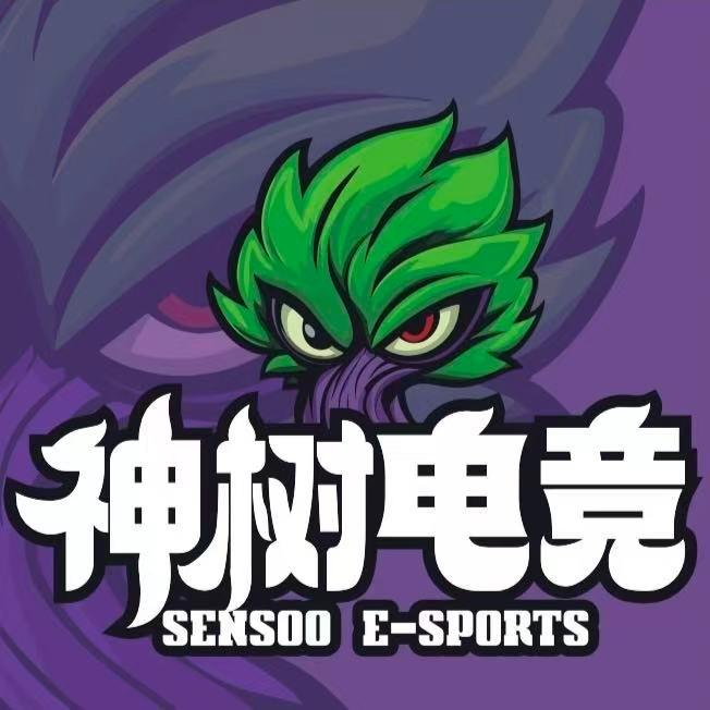 神树电竞馆(通州城市之光店)专用号