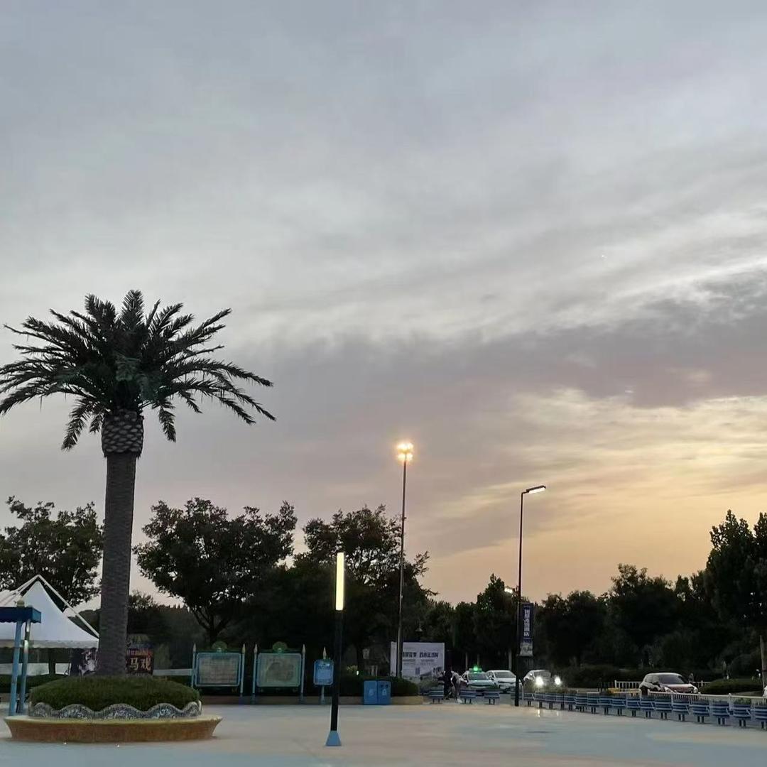 小李子（勇粹）