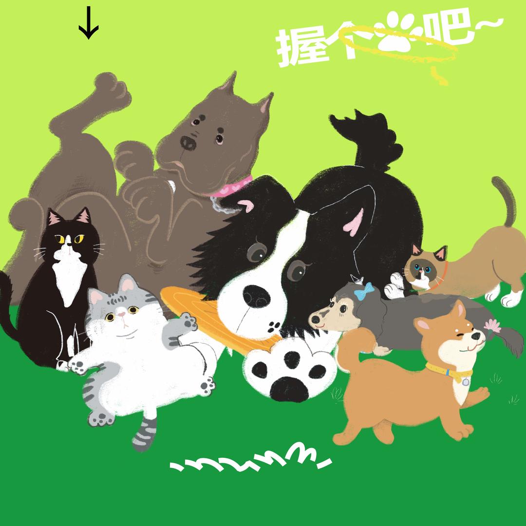 心仪动物医院中心小谢