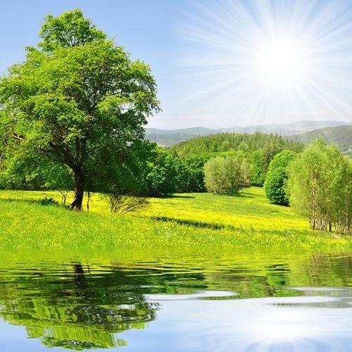 宝瑞诚洗车五店高师