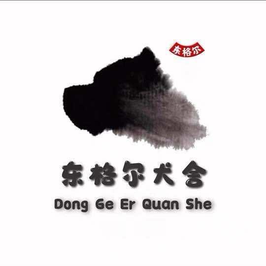 曲靖东格尔犬舍
