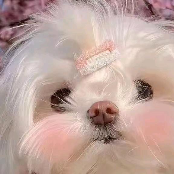 心满御足足浴养生会所