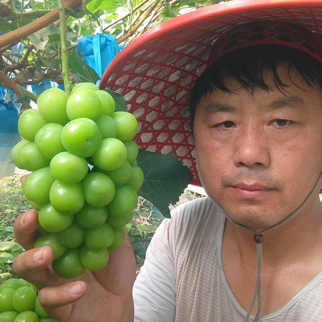 绿洲牧业葡萄农场