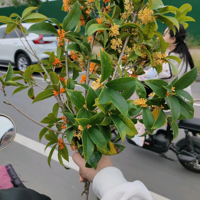 安吉尔净水（焦作弘阳店）