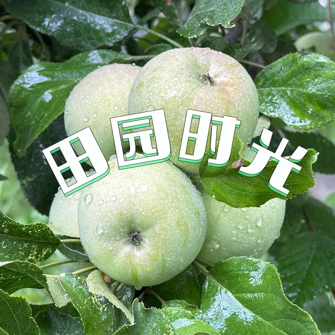 田园时光采摘园官方号