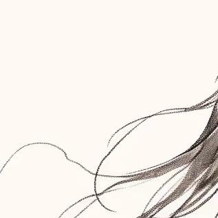 乐尔乐特价批发超市(高科商业中心店)老乐尔乐批发超市的直播号