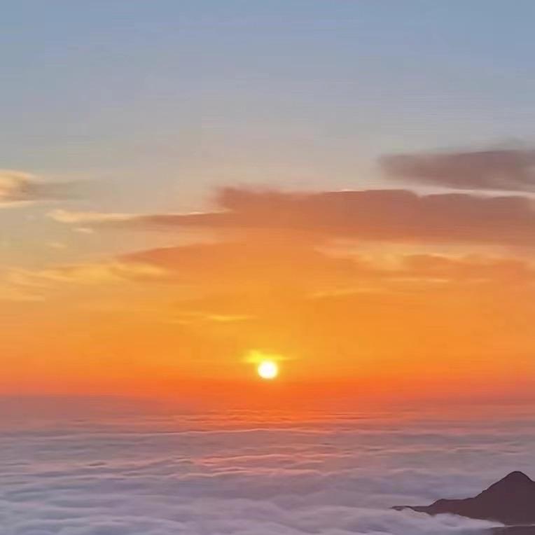 家电批发堂堂棠直播号