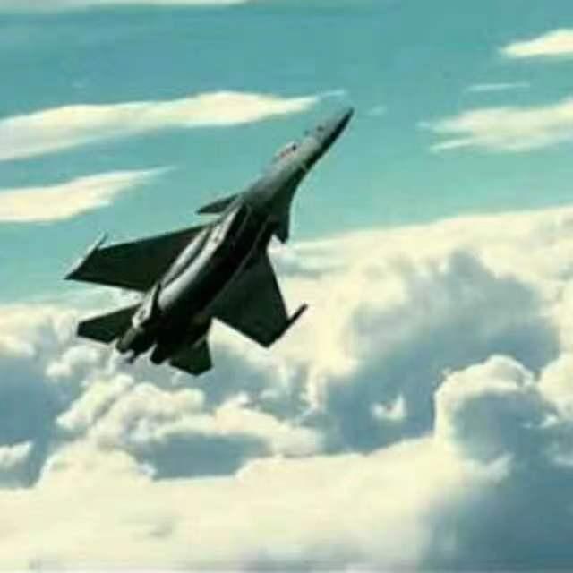 西藏毛豆二手车收售有限公司