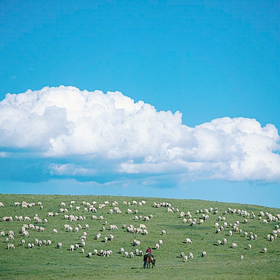 润诚世纪旅行社（呼伦贝尔大草原专场）