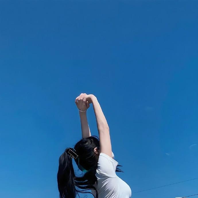 泽莱丰利宠粉号