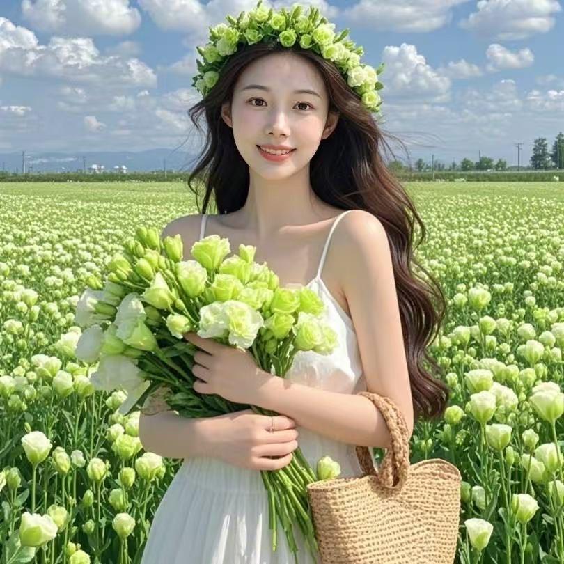 不吃香菜wpk版 培罗蒙