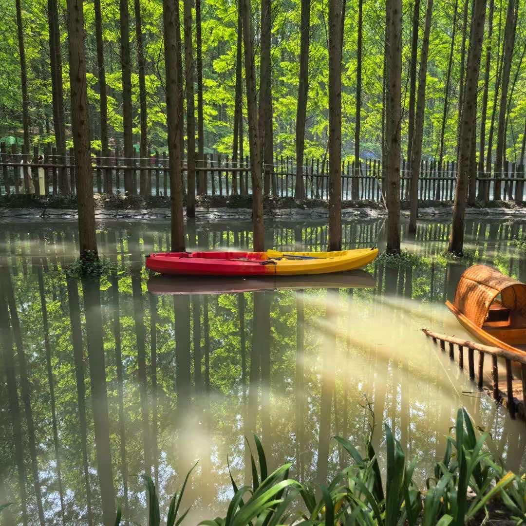 在水一方·森林露营地