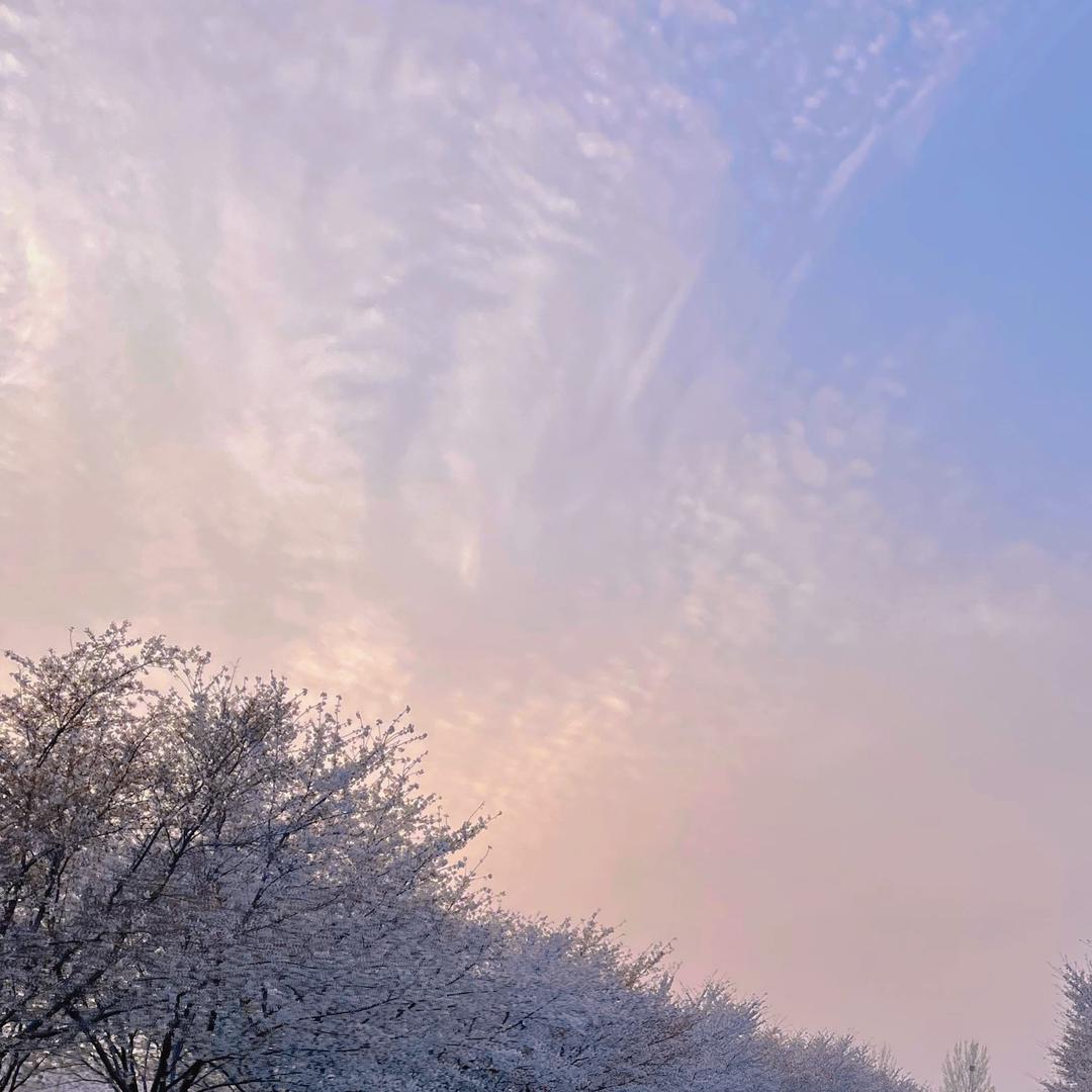 河南锦尚机械优品小铺