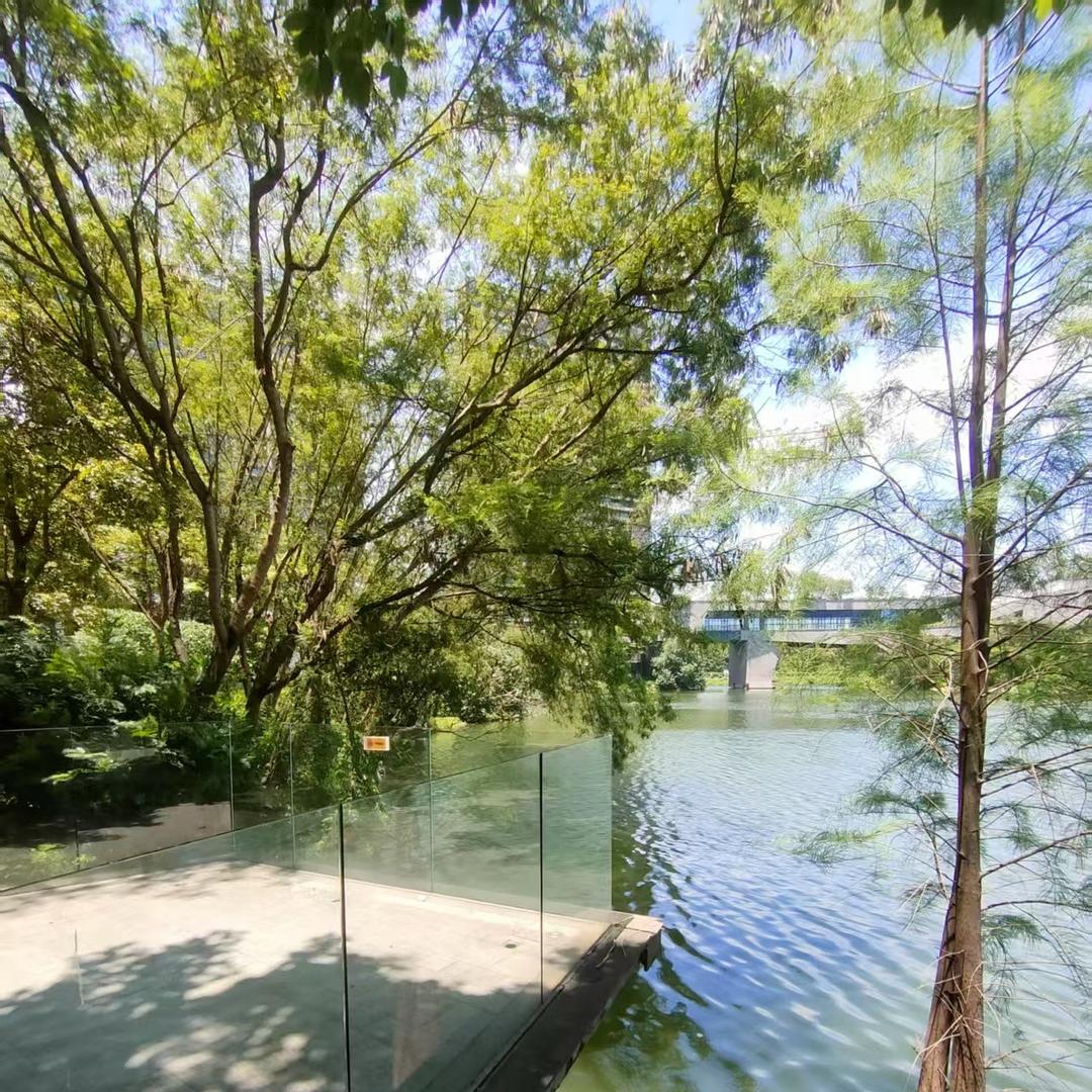 隆海德优直播三号