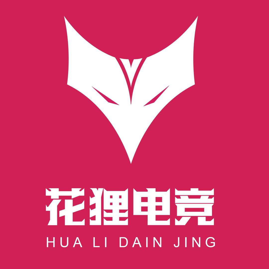 拉萨花狸电竞