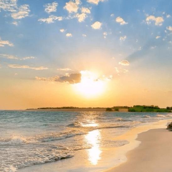 关于礼宠粉号了吧