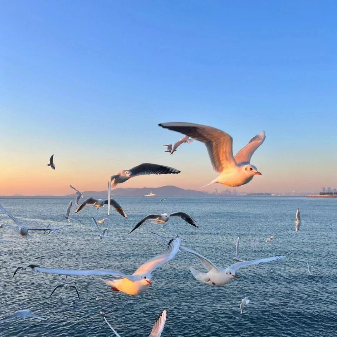 丽园阳光超市(丽园路店)丽园阳光超市小晓的直播号