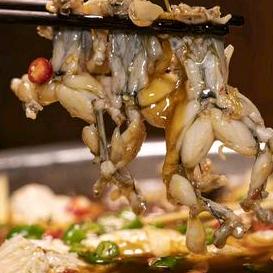 山石田鸡（乐山店）