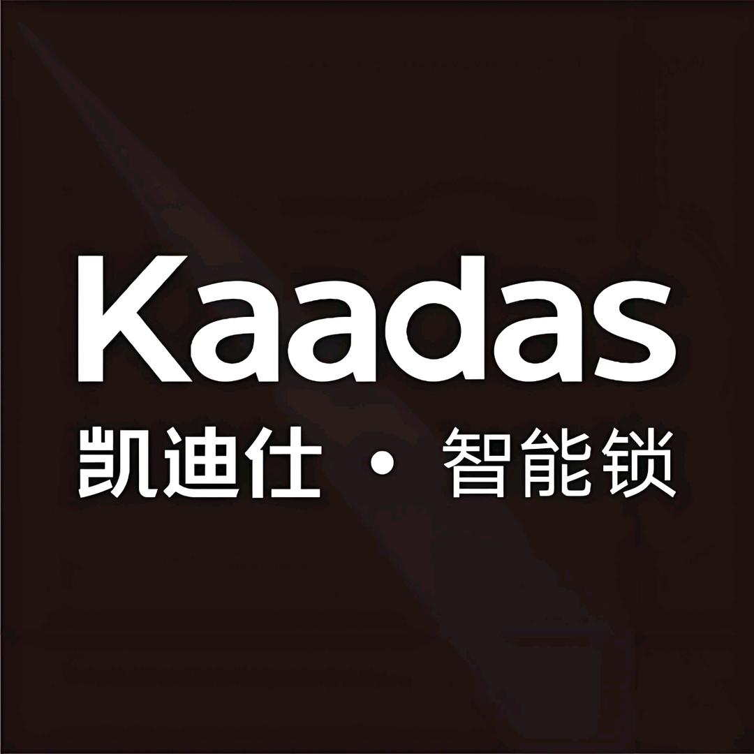 凯迪仕智能锁·朱太太(慈溪店)
