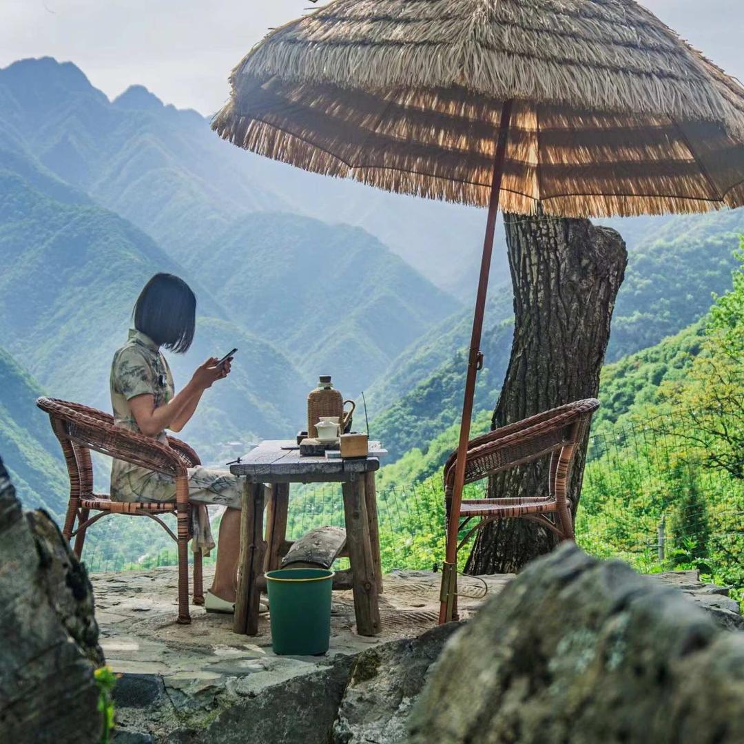 向云端·小秋茶隐