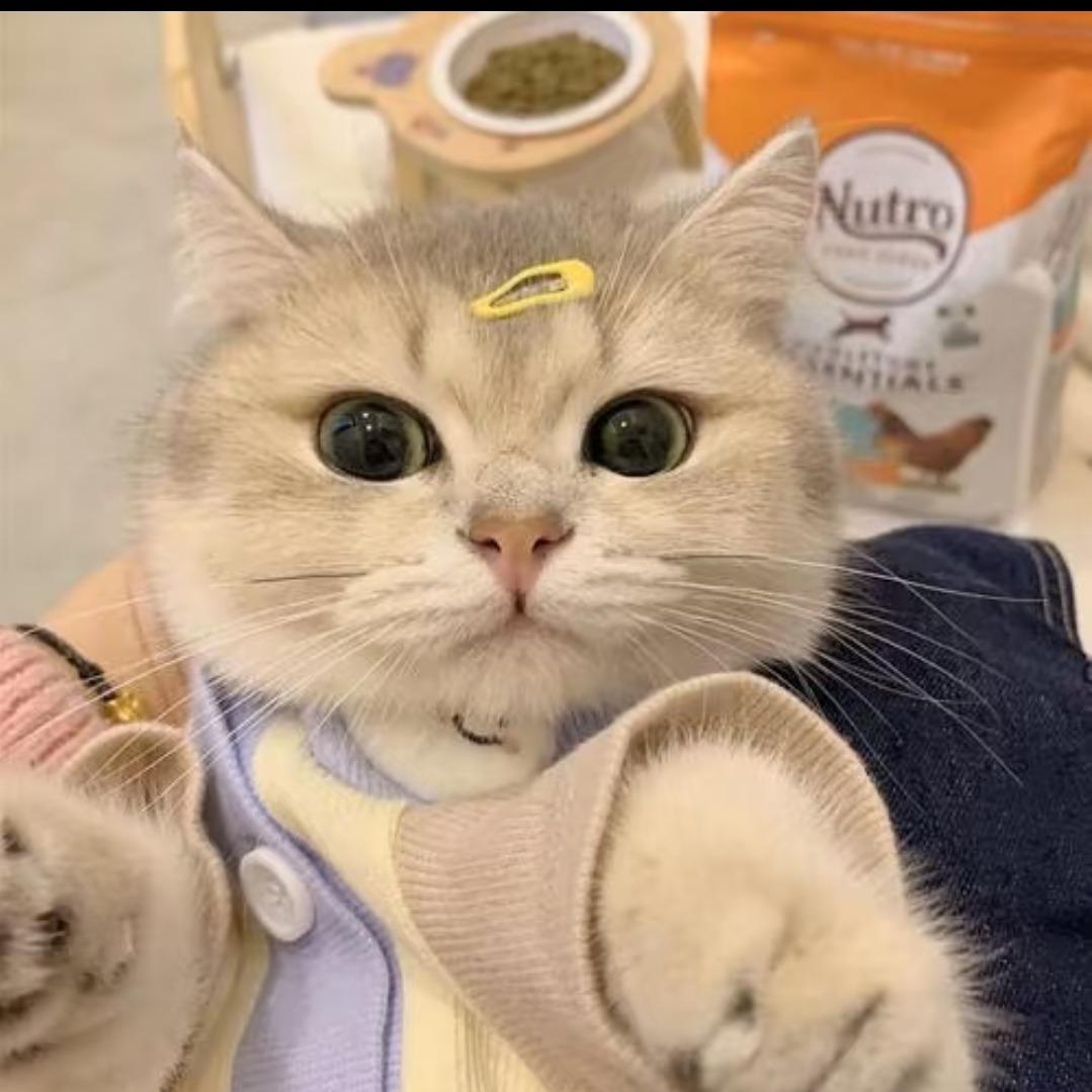 小佳湫湫糖桌游馆