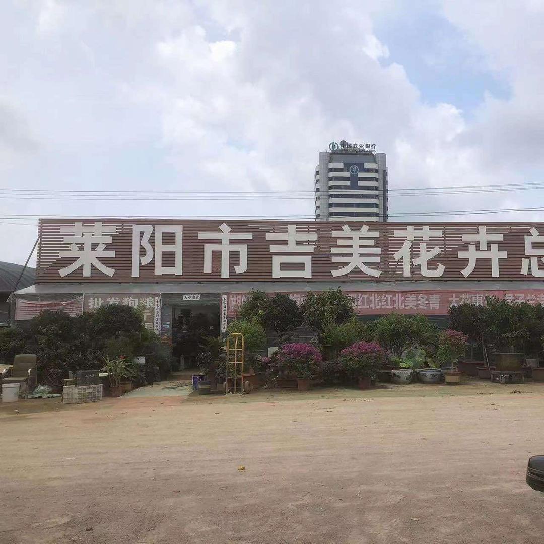 莱阳市吉美花卉总经销