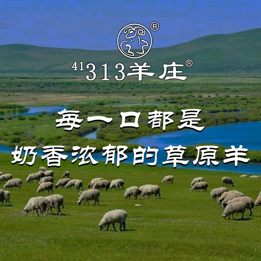 313羊庄（唐山总店）