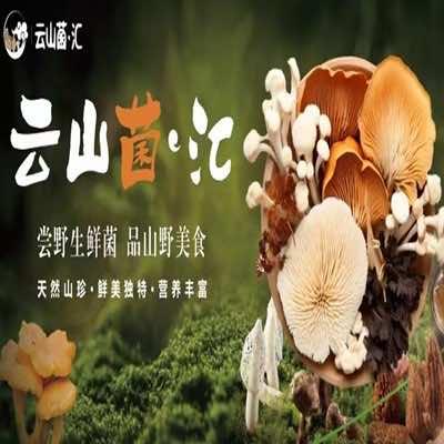 云山菌·汇（润达店）