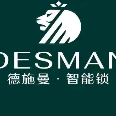 德施曼智能锁（龙达店）