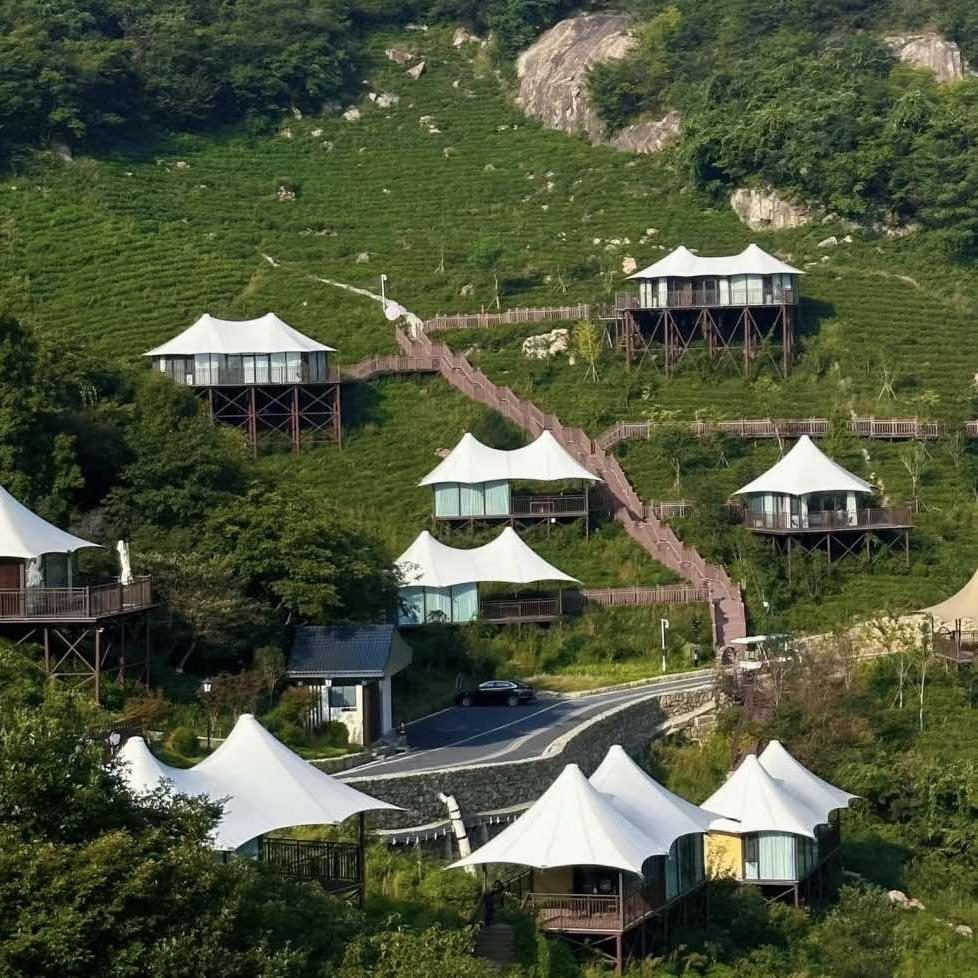何家寨茶山民宿